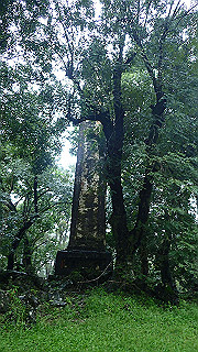 pc121713_thumb.jpg