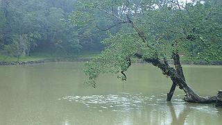 pc121718_thumb.jpg