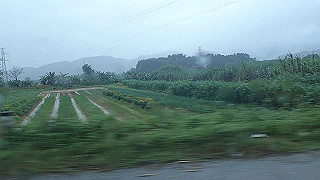 pc121738_thumb.jpg