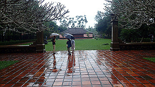 pc121778_thumb.jpg