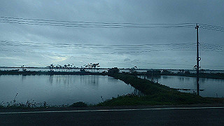 pc131864_thumb.jpg