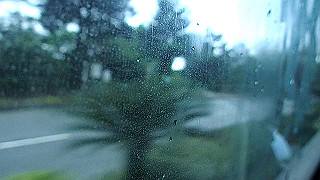 pc131868.mov_thumb.jpg