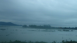pc131883_thumb.jpg