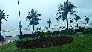 pc131942_thumb.jpg