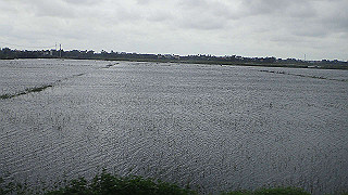 pc131966_thumb.jpg