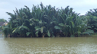 pc132115_thumb.jpg