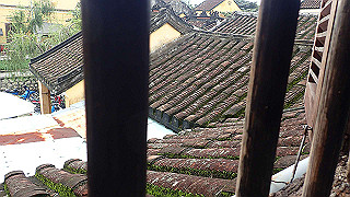 pc142230_thumb.jpg