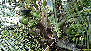 pc142462_thumb.jpg