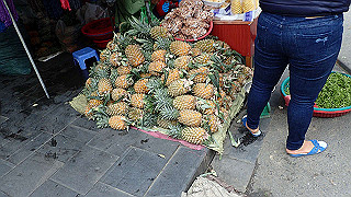 pc142474_thumb.jpg