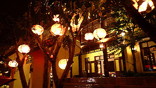 pc142646_thumb.jpg