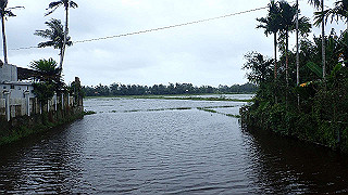 pc152650_thumb.jpg