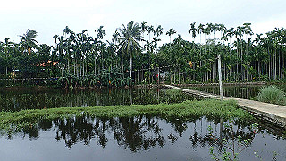 pc152653_thumb.jpg