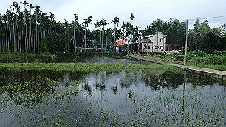 pc152654_thumb.jpg
