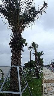 pc152661_thumb.jpg