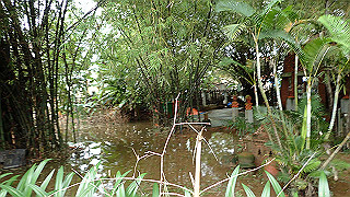 pc152731_thumb.jpg