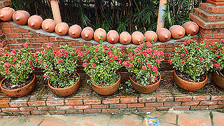 pc152752_thumb.jpg