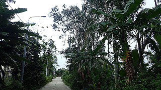 pc152763_thumb.jpg