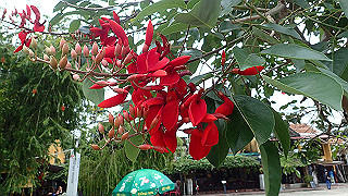 pc152782_thumb.jpg
