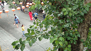 pc152815_thumb.jpg