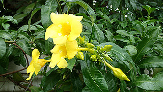 pc162875_thumb.jpg