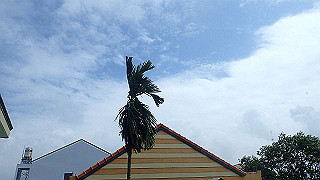 pc162887_thumb.jpg