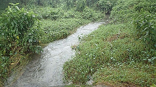 pc162922_thumb.jpg