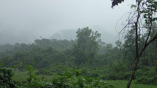 pc162925_thumb.jpg
