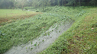 pc162930_thumb.jpg