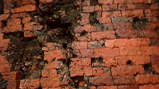 pc163000_thumb.jpg