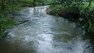 pc163010_thumb.jpg
