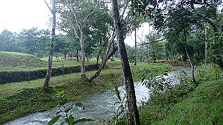 pc163013_thumb.jpg