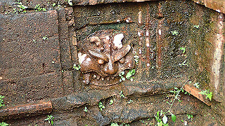 pc163024_thumb.jpg