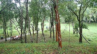 pc163038_thumb.jpg