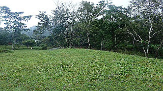 pc163040_thumb.jpg
