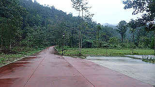 pc163057_thumb.jpg