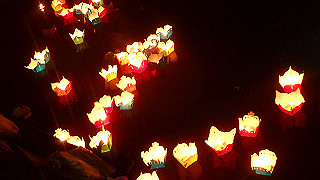 pc163128_thumb.jpg