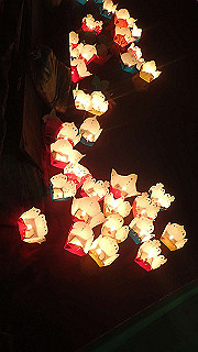 pc163133_thumb.jpg