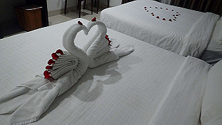 pc173308_thumb.jpg
