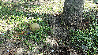 pc183351_thumb.jpg