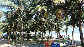 pc183352_thumb.jpg