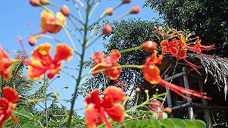pc183371_thumb.jpg