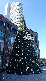 pc183401_thumb.jpg
