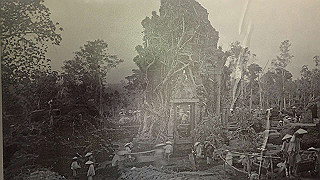 pc183467_thumb.jpg