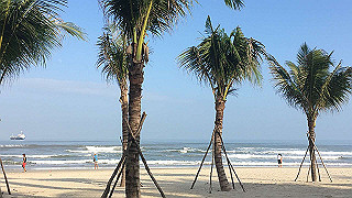 img_2712_thumb.jpg