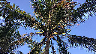 img_2722_thumb.jpg