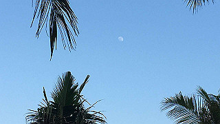 img_2723_thumb.jpg