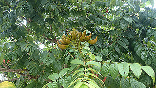 pc193609_thumb.jpg