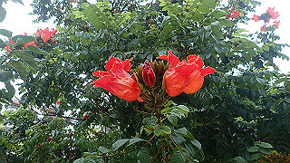 pc193610_thumb.jpg