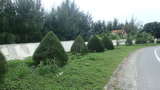 pc193651_thumb.jpg