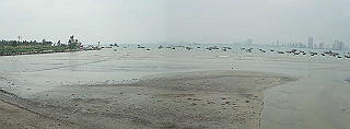 pc193658_thumb.jpg